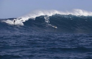 Kai Laird Jaws