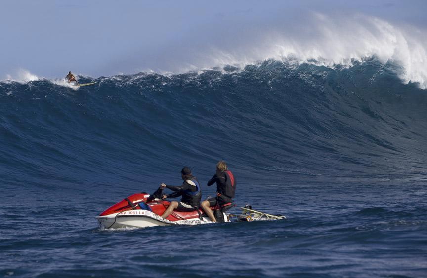 Jaws Gallery!