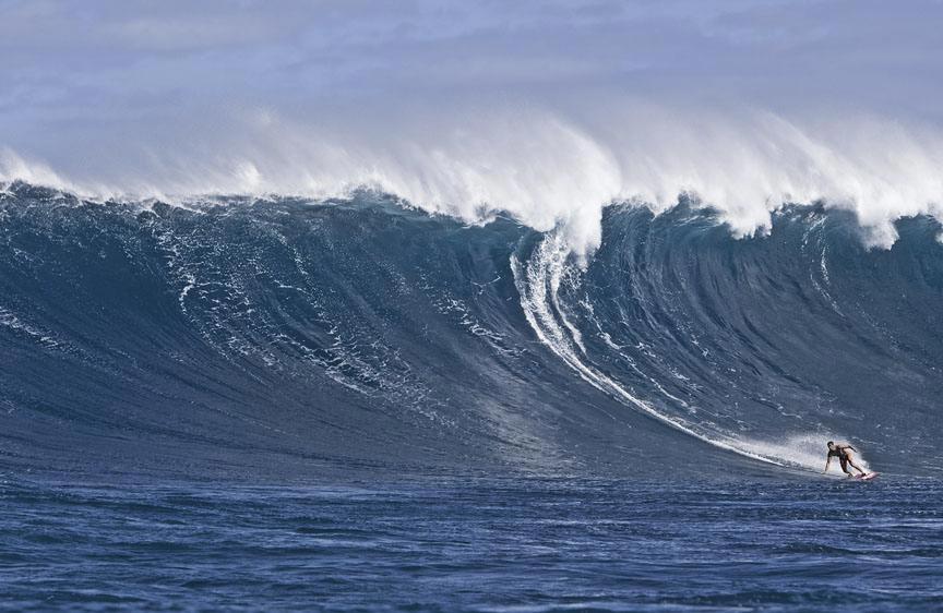Jaws Gallery!