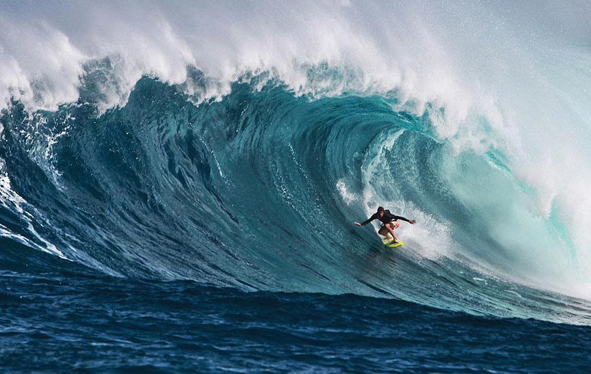 Jaws Gallery!