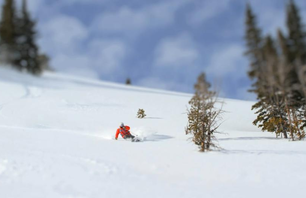 \'A Tiny Day in the Jackson Hole Backcountry\'