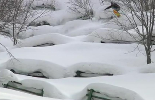 Snowboarding Japan\'s North Island