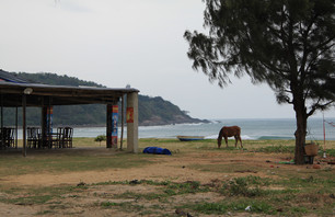 Surf China! [Part 3]