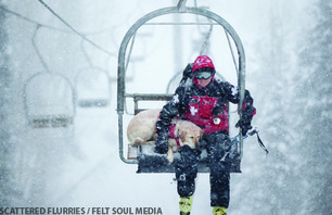 Scattered Flurries