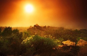 Keith Ladzinski 