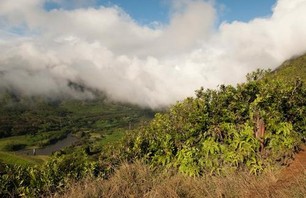 Aihualama Trail