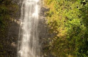 Manoa Falls