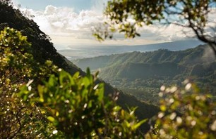 Aihualama Trail