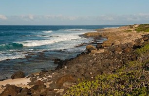 Kaena Point