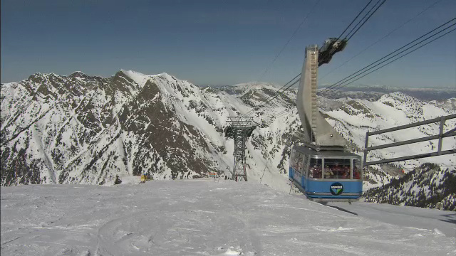 Snowbird Profile